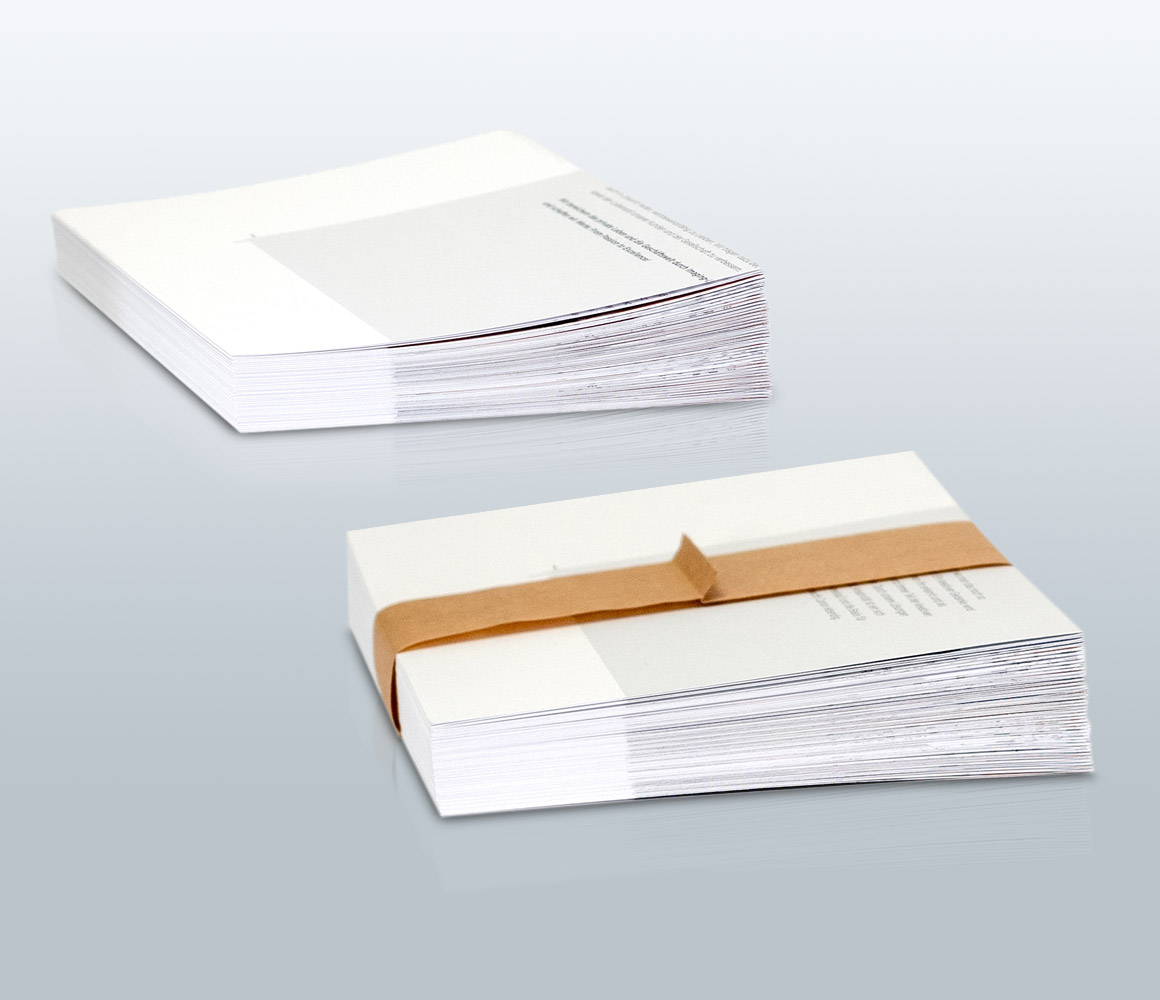 Palamides gamma 502 Pro — manufacturer photograph