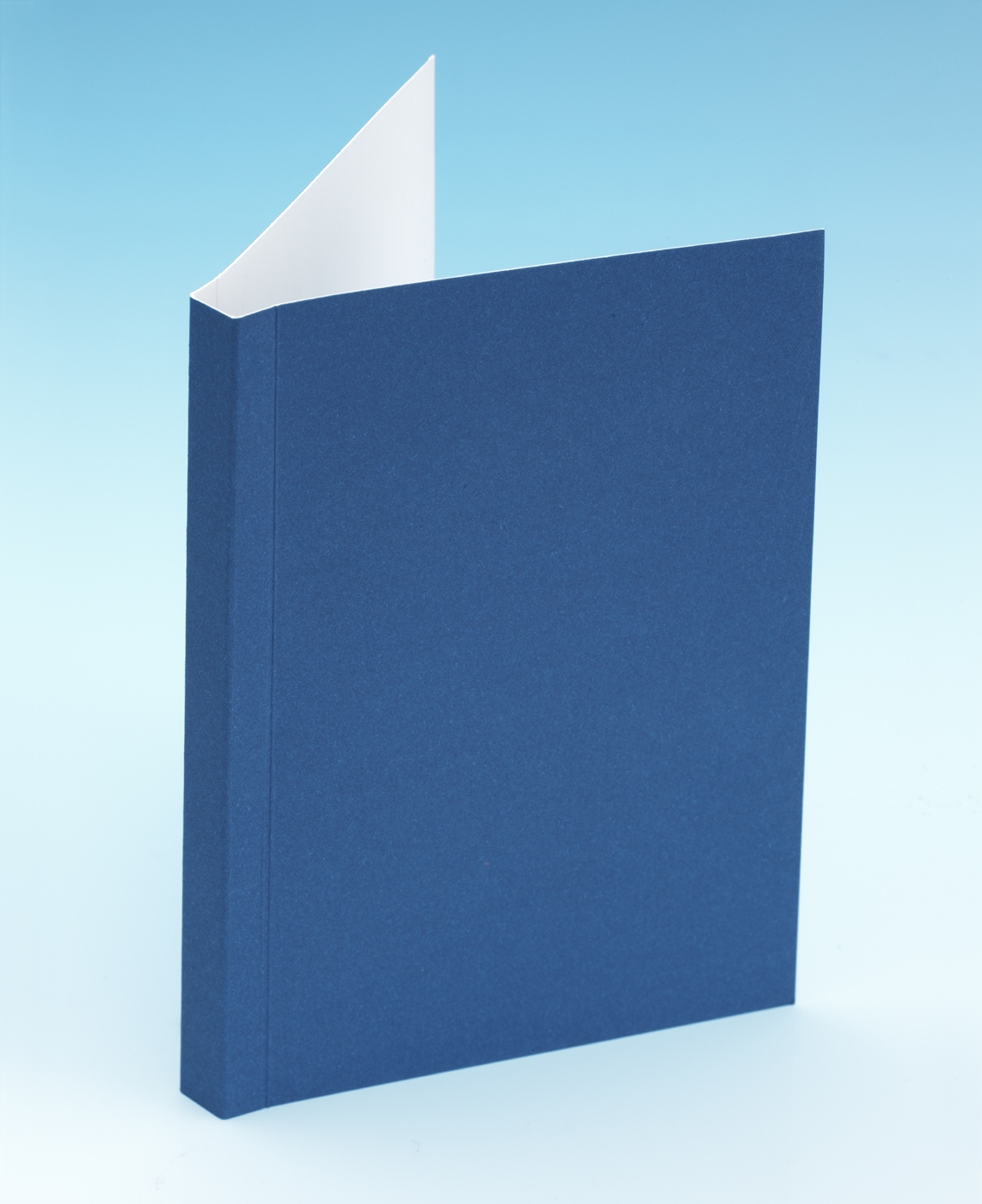 Perfect-bound book standing square with crisp creased spine and hinges